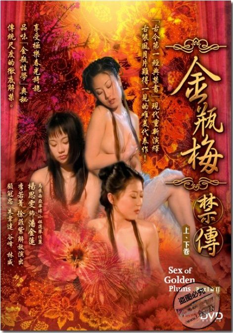 新金瓶梅2(大结局)